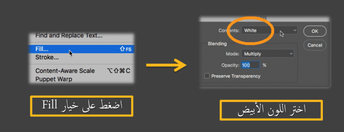 ملأ الطبقة الجديدة باللون الأبيض - تعلم الفوتوشوب