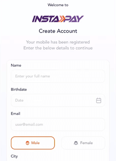 شروط وأحكام انستا باي